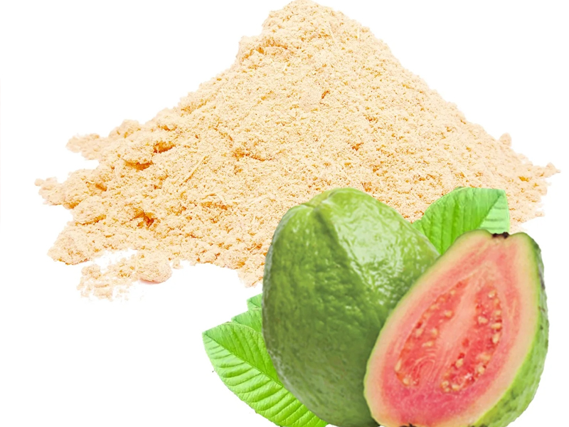 Guava Powder Exporter And Manufacture From India