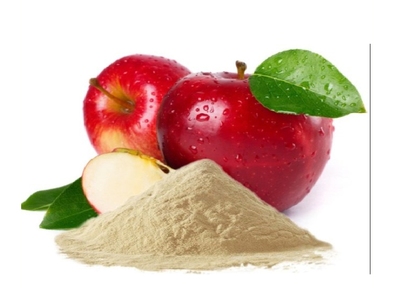 Apple Powder Exporter And Manufacture From India