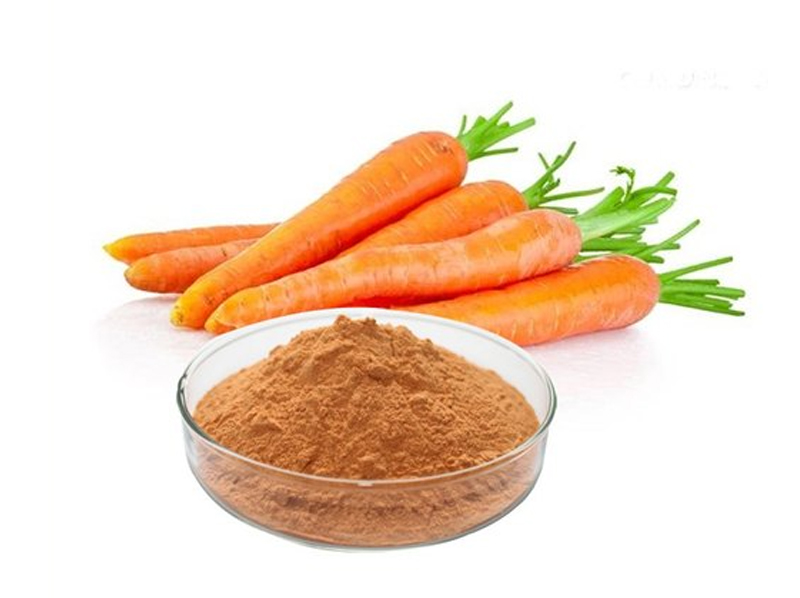 Dehydrated Carrot Powder Exporter And Manufacture From India