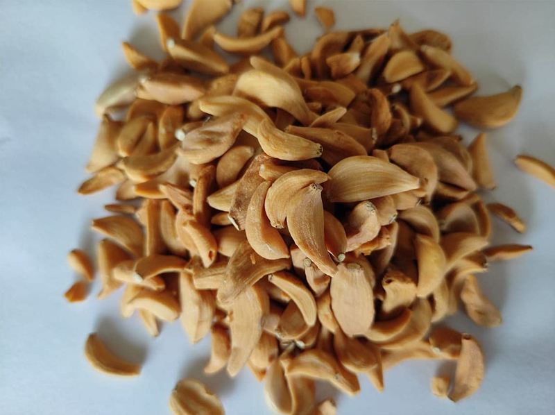 Dehydrated Garlic Flakes & Powder Exporter And Manufacture From India