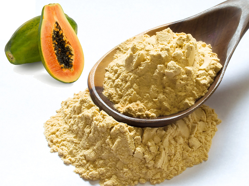 Papaya Powder Exporter And Manufacture From India