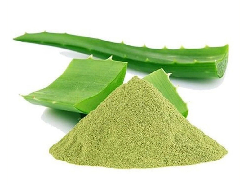 Aloe Vera Powder Exporter And Manufacture From India