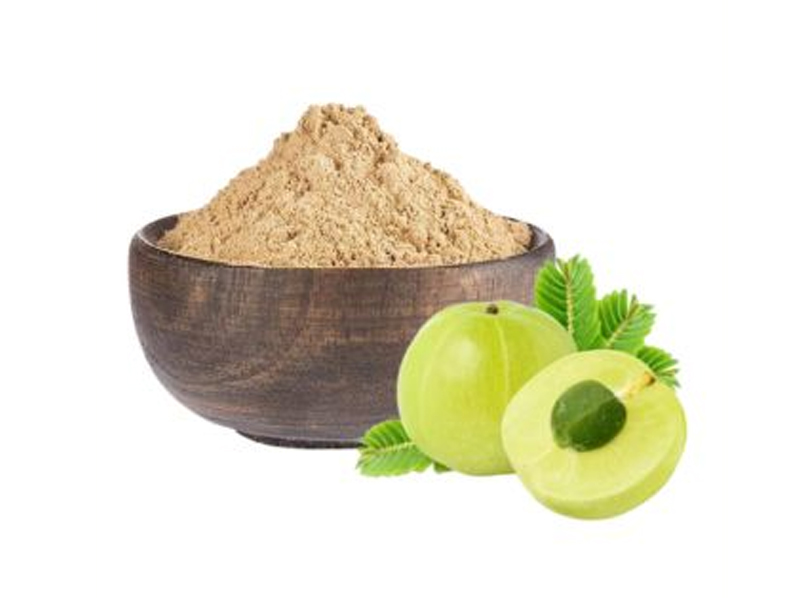 Gooseberry Powder Exporter And Manufacture From India