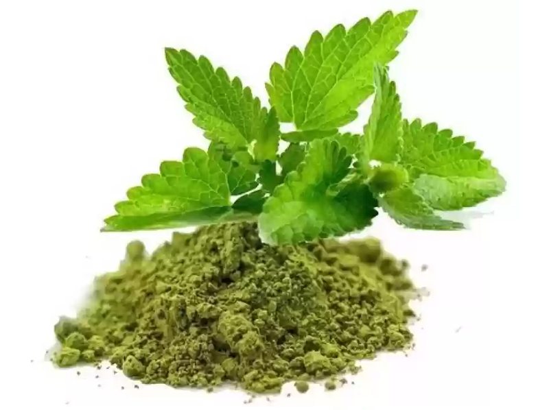Basil Powder Exporter And Manufacture From India