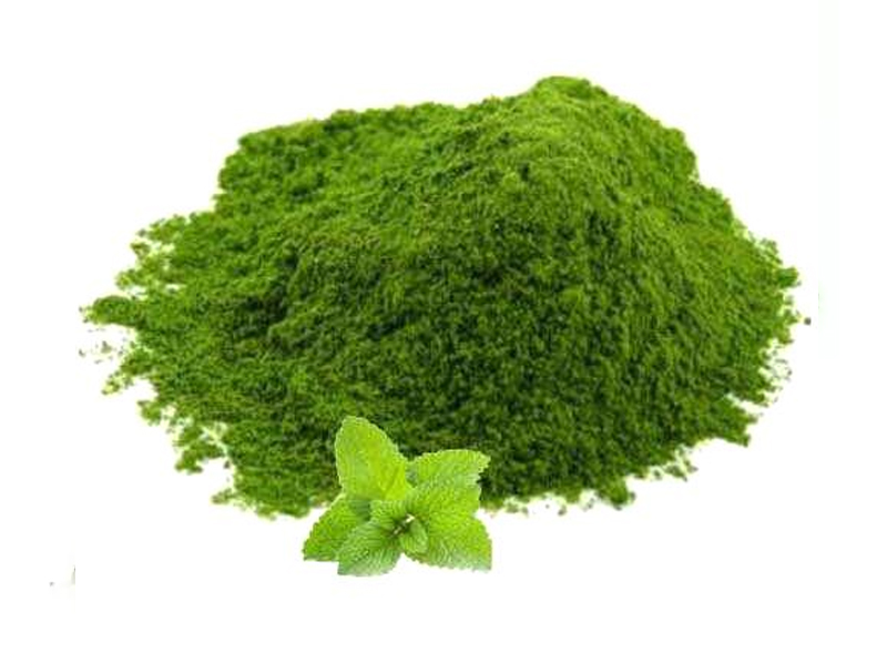 Mint Powder Exporter And Manufacture From India