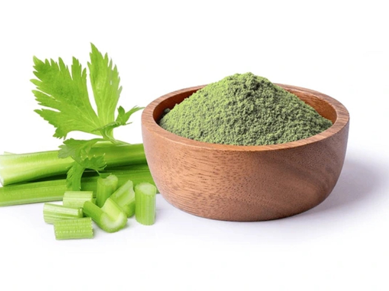 Celery Powder Exporter And Manufacture From India