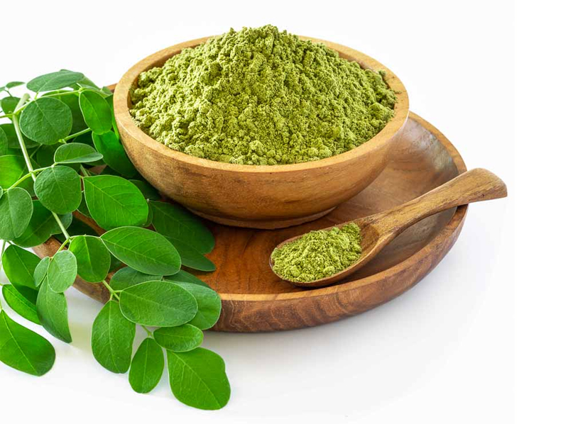 Moringa Powder Exporter And Manufacture From India