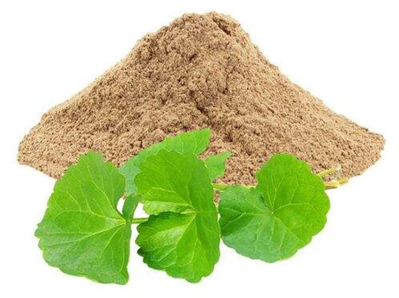 Bramhi Powder Exporter And Manufacture From India