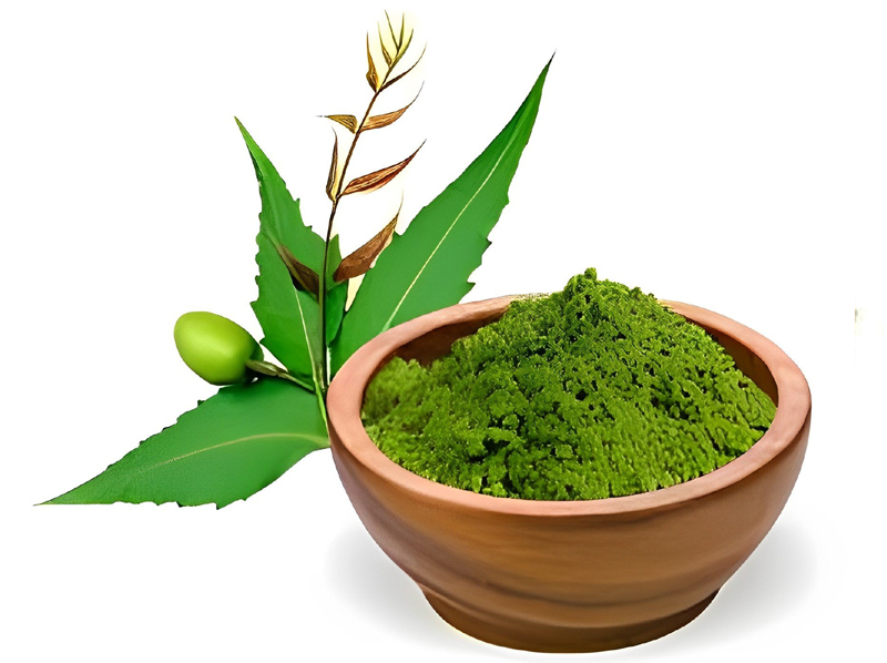 Neem Leaf Powder Exporter And Manufacture From India