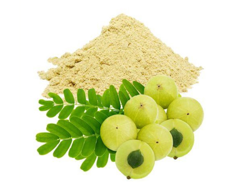 Amla Powder Exporter And Manufacture From India