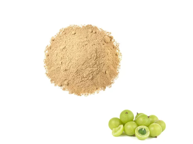 Amla Exporter And Manufacture From India