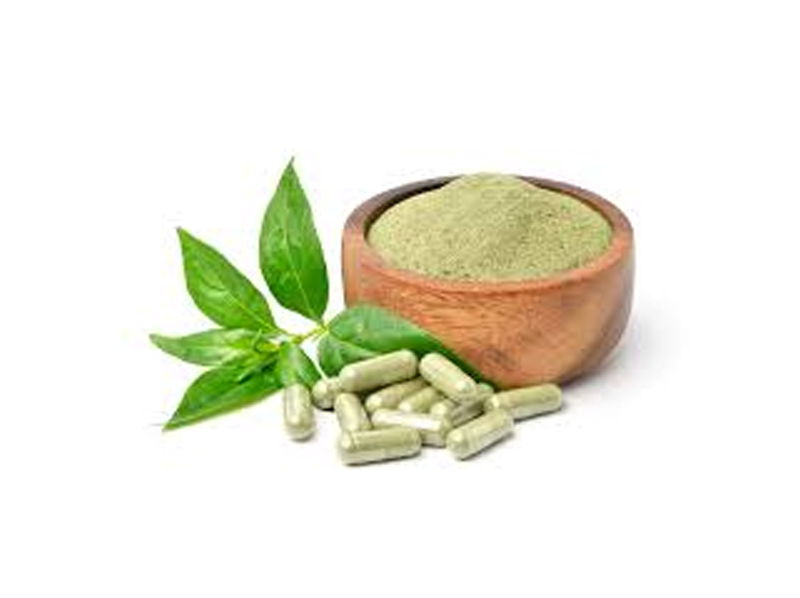 Andrographis Exporter And Manufacture From India