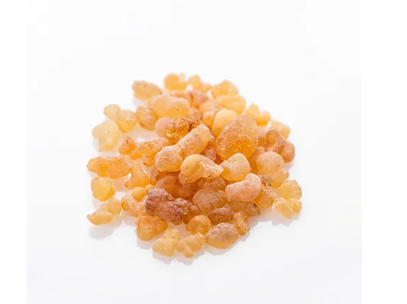 Boswellia Exporter And Manufacture From India