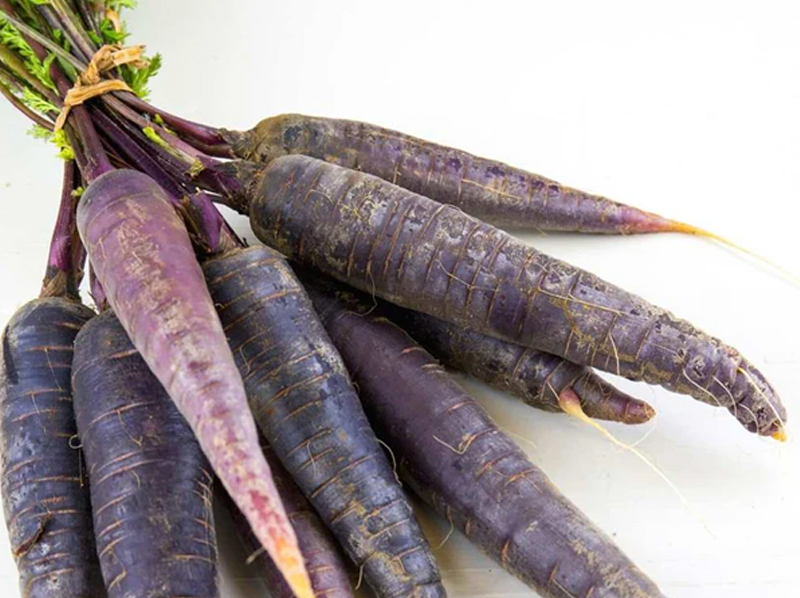 Black Carrot Exporter And Manufacture From India