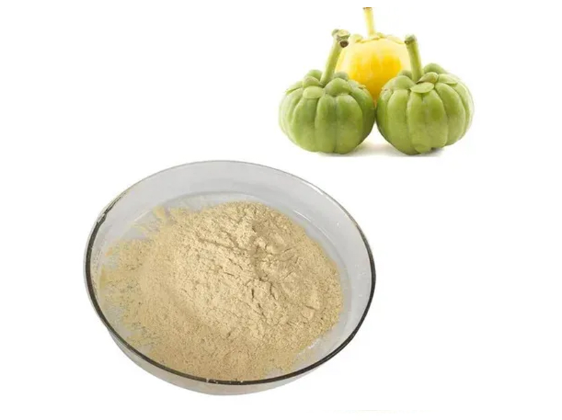 Garcinia Cambogia Exporter And Manufacture From India