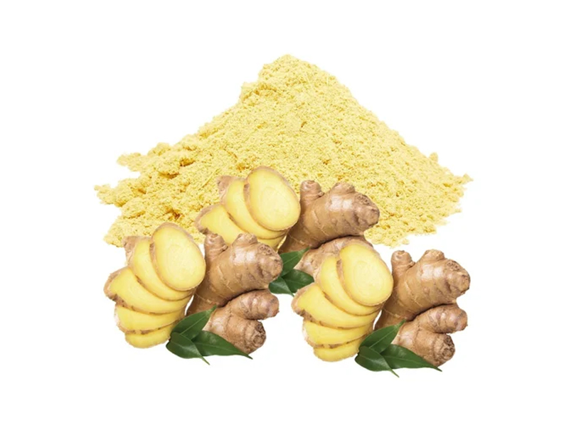 Ginger Exporter And Manufacture From India