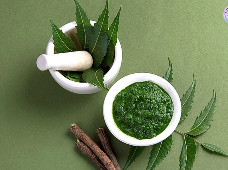 Neem Leaf Exporter And Manufacture From India