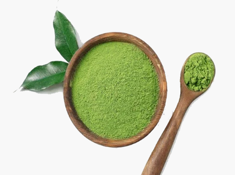 Green Tea Exporter And Manufacture From India