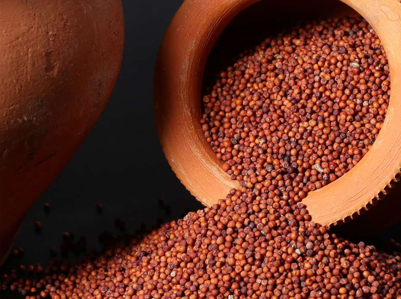 Finger Millet Exporter And Manufacture From India