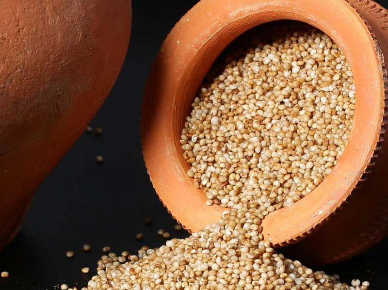 Kodo Millet Exporter And Manufacture From India