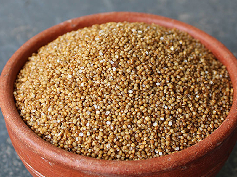 Barnyard Millet Exporter And Manufacture From India