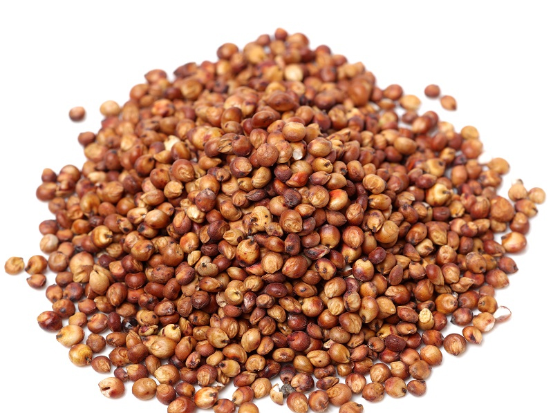 Sorghum Wholet Exporter And Manufacture From India