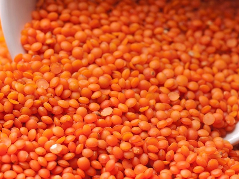 Red Lentil Exporter And Manufacture From India