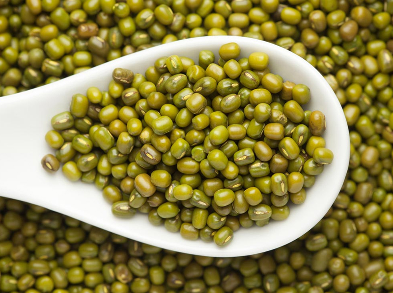 Green Moong Whole Exporter And Manufacture From India