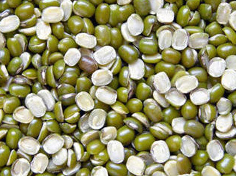 Green Moong Split Exporter And Manufacture From India