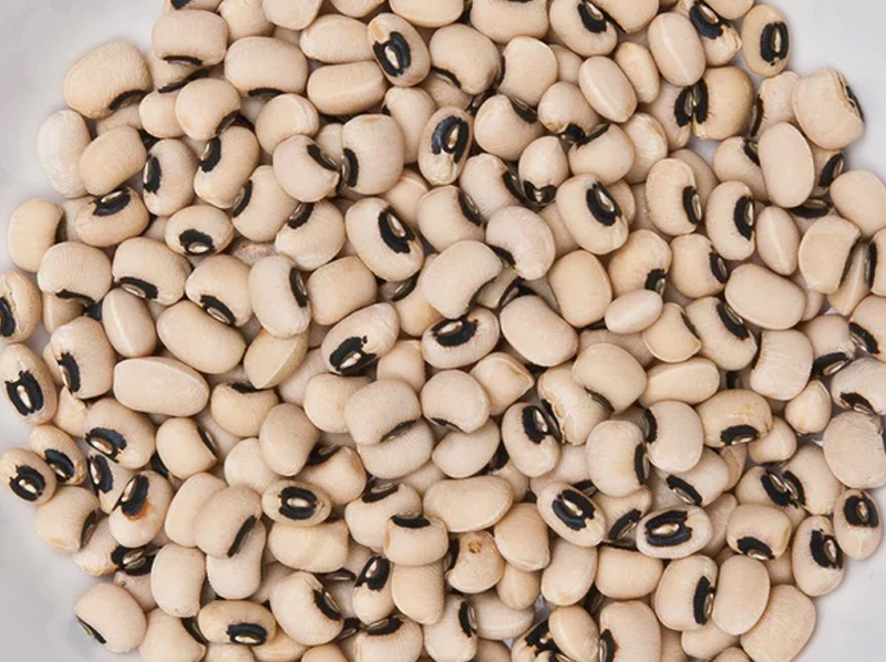 Cow Peas Exporter And Manufacture From India