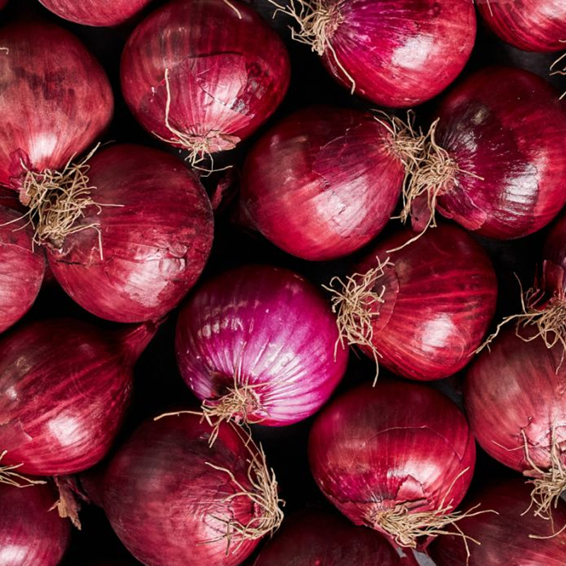 Red Onion Exporter And Manufacture From India