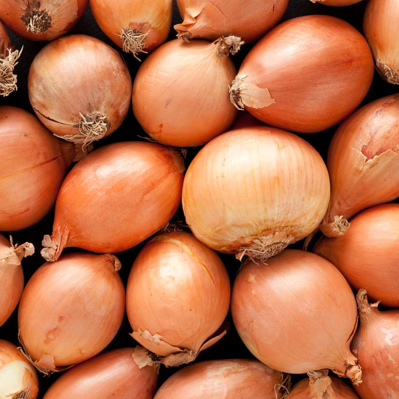 Yellow Onion Exporter And Manufacture From India