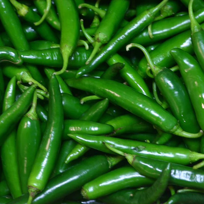 Green Chilli Exporter And Manufacture From India