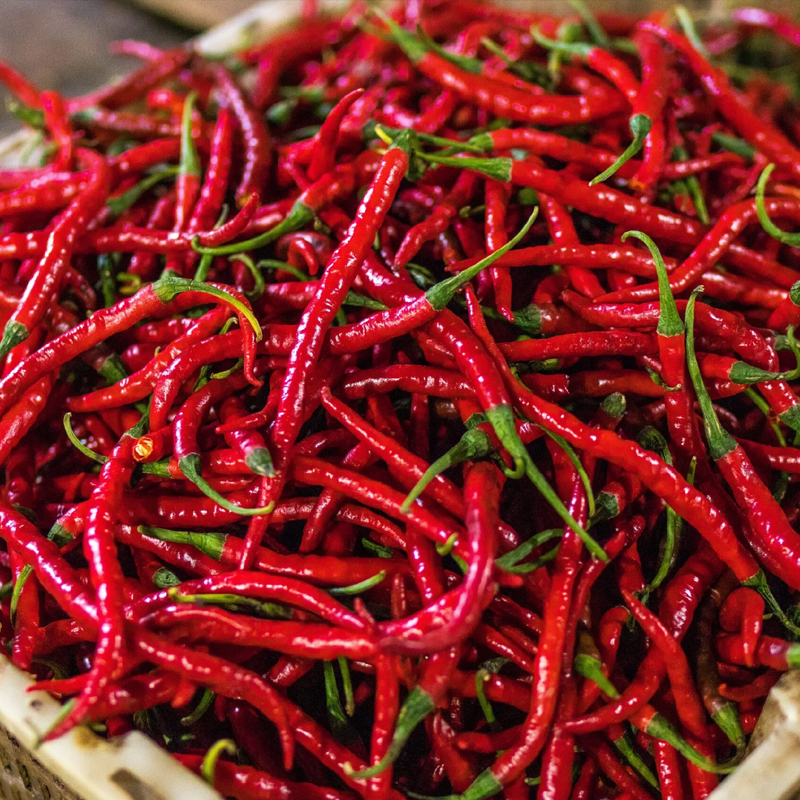 Red Chilli Exporter And Manufacture From India