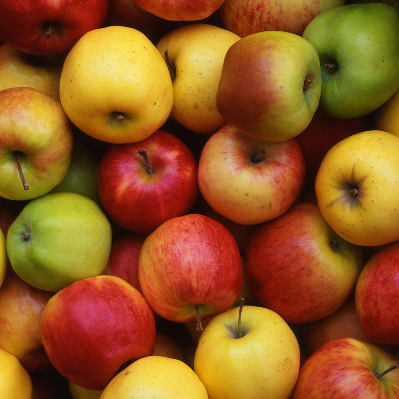 Apple Exporter And Manufacture From India