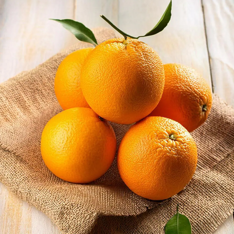 Orange Exporter And Manufacture From India