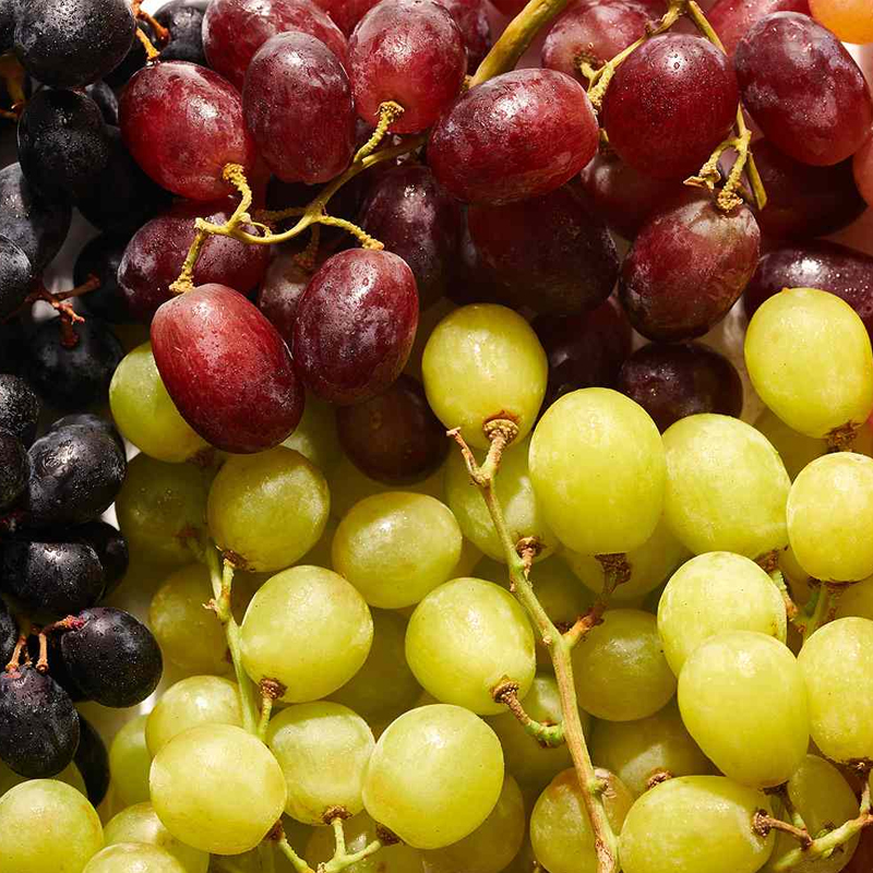 Grapes Exporter And Manufacture From India